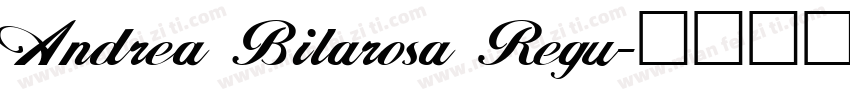 Andrea Bilarosa Regu字体转换